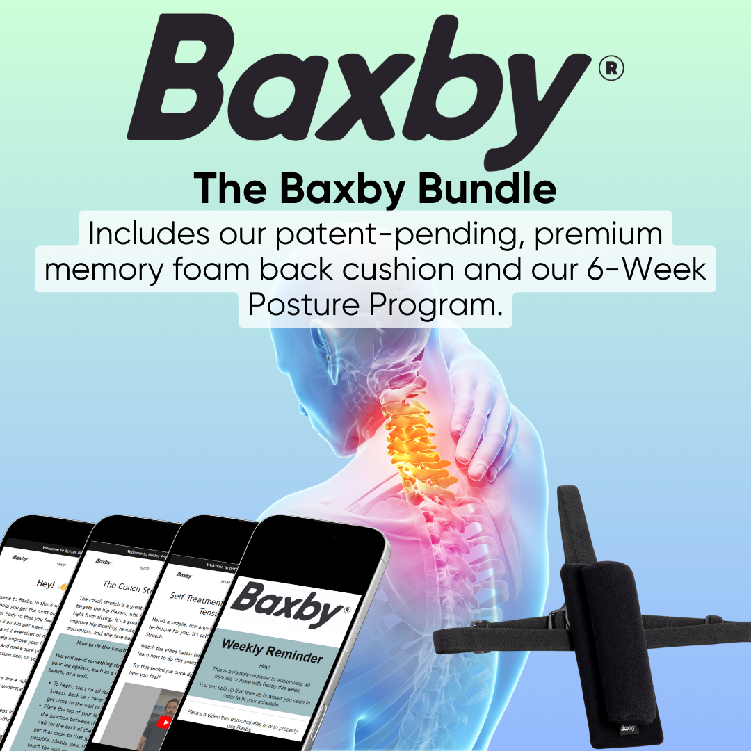 The Baxby Bundle (Cushion & Program)