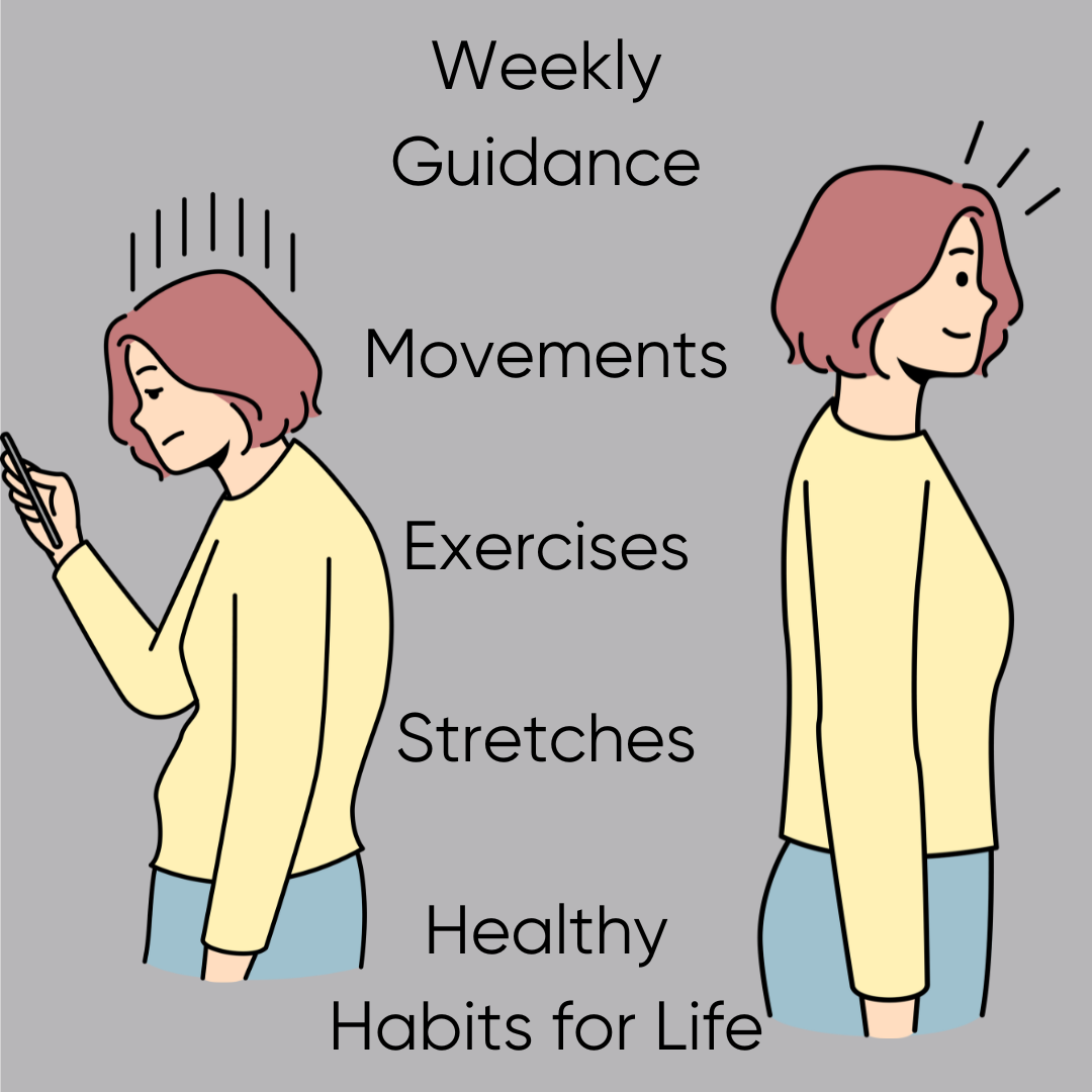 Baxby Posture 6 Week Program overview showing what is included in the program and images of before and after